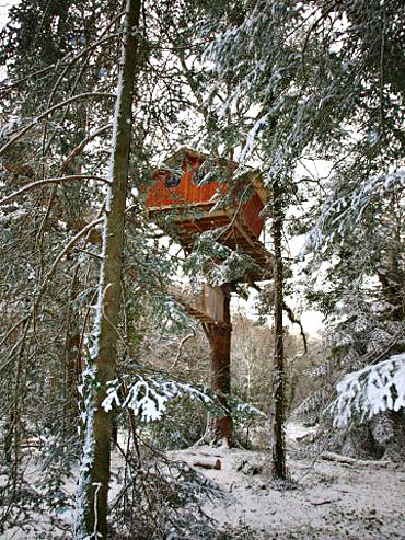 location cabane dans les sapins et la neige